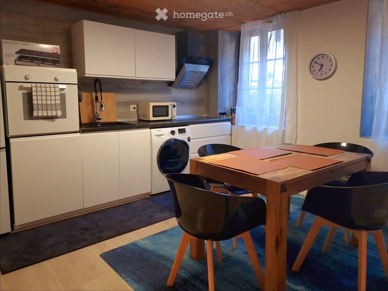 Grand 3.5 avec terrasse (1)