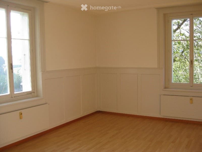 Grosse 3.5-Zimmer-Wohnung (4)