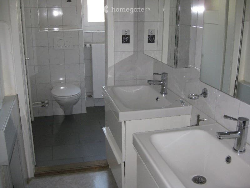 Grosse 3.5-Zimmer-Wohnung (3)