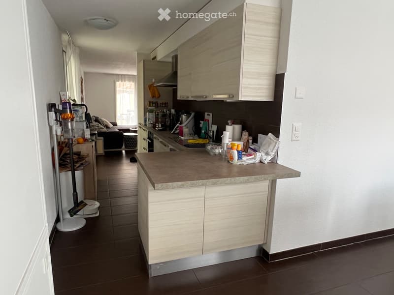 Reprise de bail appartement duplex 4,5 pièces (3)