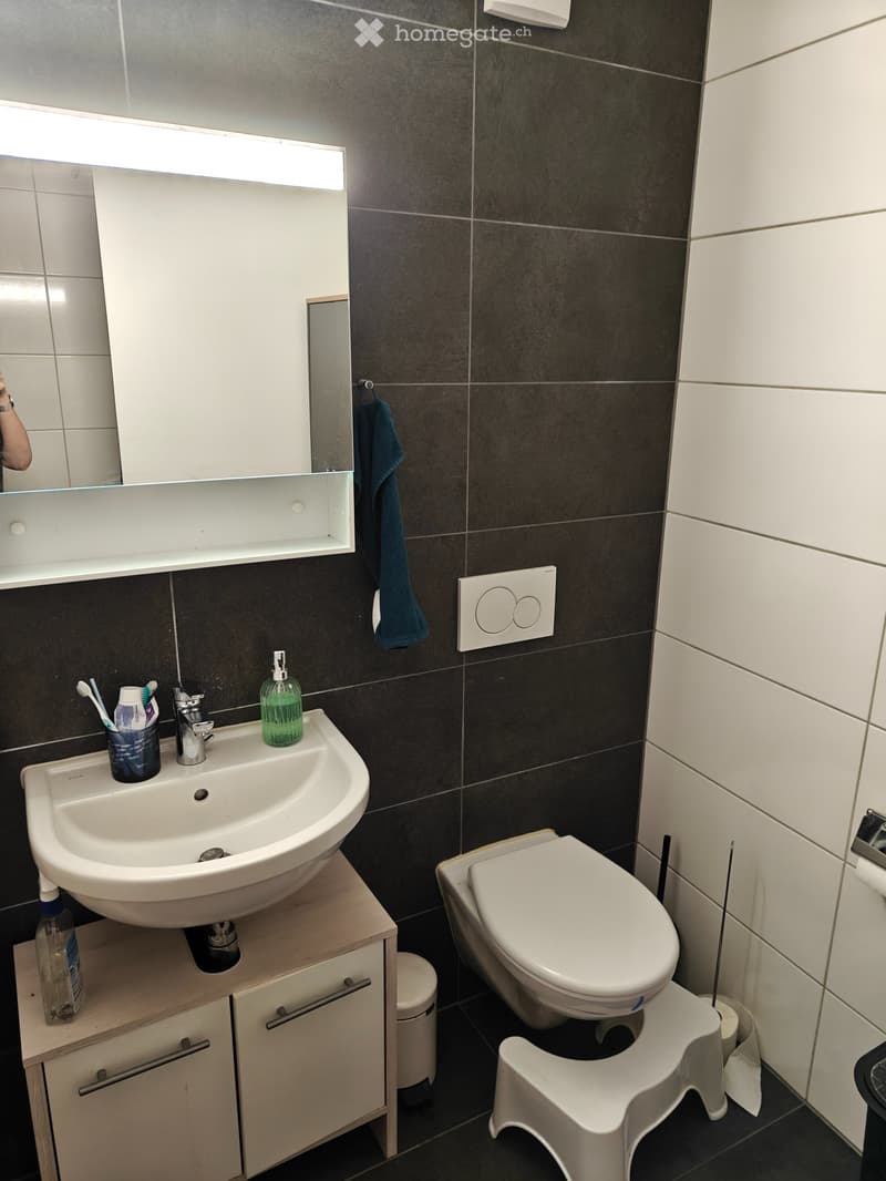 A louer 1.5 pièce lumineux , quartier Schoenberg Fribourg (3)