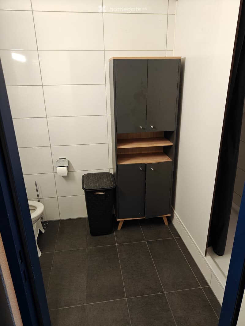 A louer 1.5 pièce lumineux , quartier Schoenberg Fribourg (5)