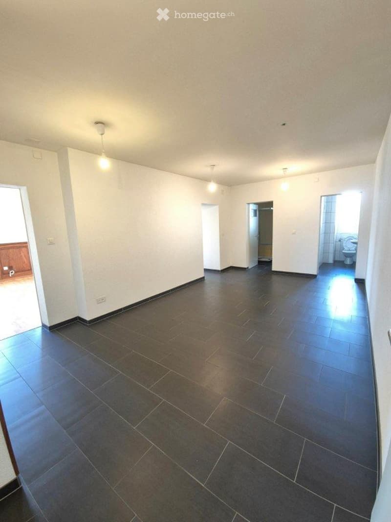 Grand 3.5 pièces de 115 m2 à Lignières - Libre de suite (5)