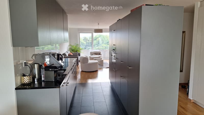 Très bel appartement de 3,5 pièces au 6 étage, avec vue (4)