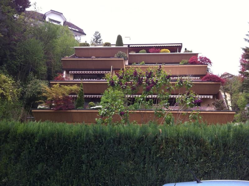 1.5 Zimmer, beste Lage Luzern-Stadt (1)