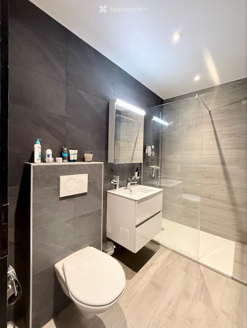 À remettre : appartement 2.5 pièces rénové (5)