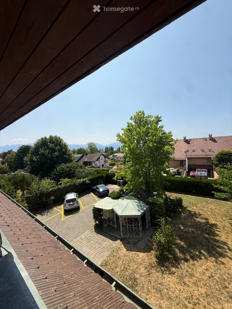 Appartement de 4,5 pièces + pavillon de jardin (2)