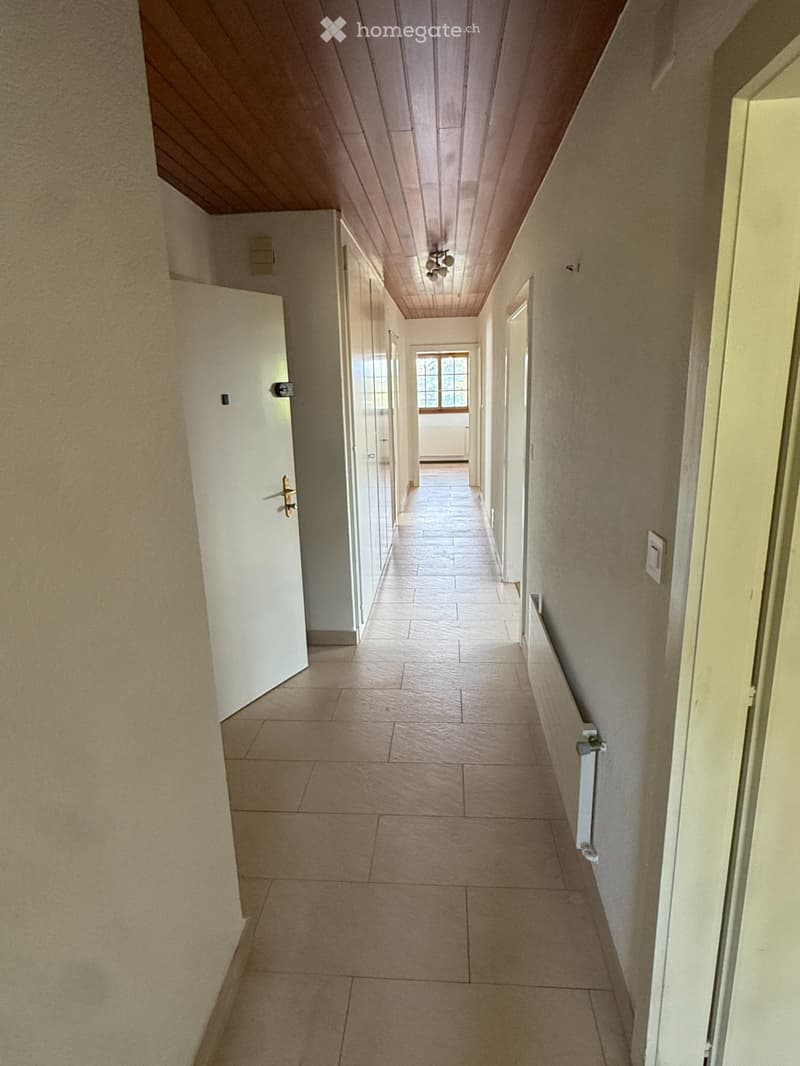 Appartement de 4,5 pièces + pavillon de jardin (4)