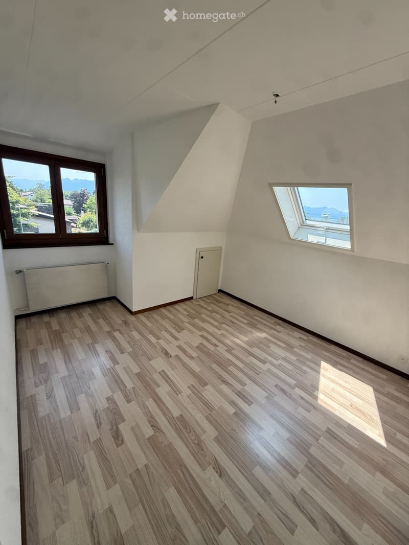 Appartement de 4,5 pièces + pavillon de jardin (5)