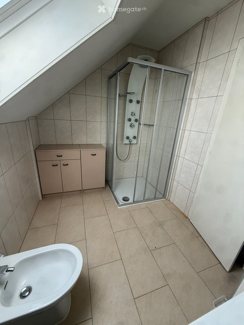 Appartement de 4,5 pièces + pavillon de jardin (3)