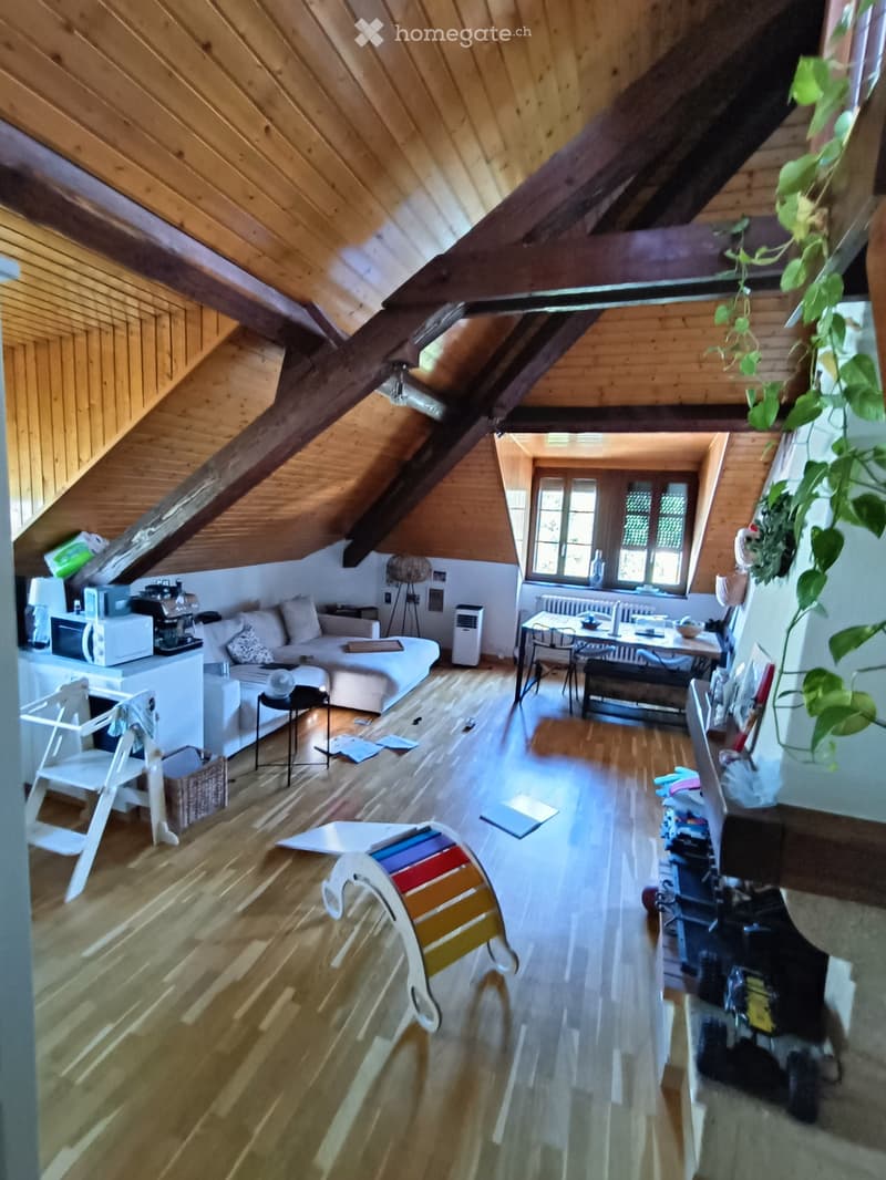 Charmant appartement de 5.5 pièces dans villa à Carouge (4)