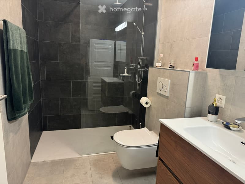 Appartement non meublé de 2.5 pièces à Réchy (5)