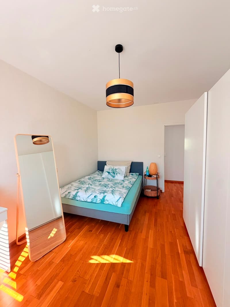 Spacious 3-Bedroom Apartment with Lake-Facing Terrace (4)