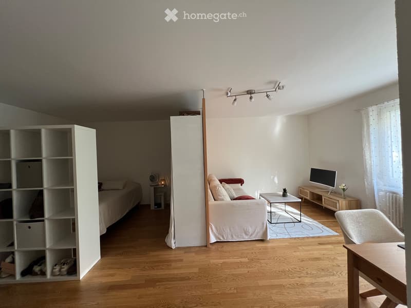 Charming 1.5-Room appartment with Terrace in Zurich Oerlikon (4)