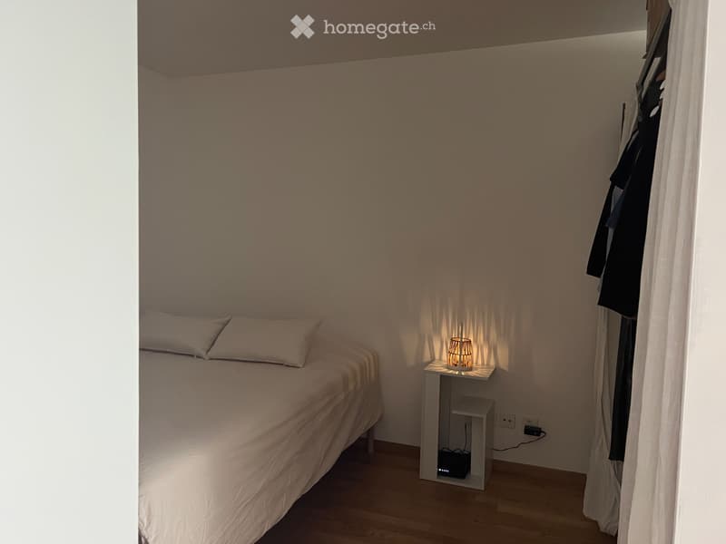 Charming 1.5-Room appartment with Terrace in Zurich Oerlikon (3)