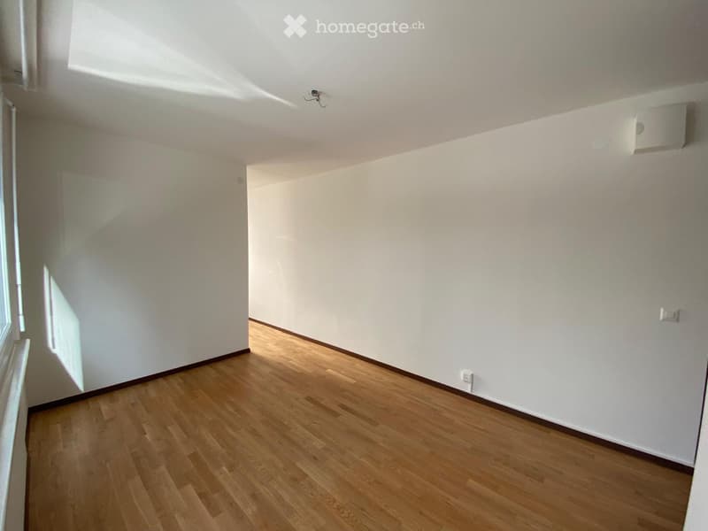 Superbe studio meublé ou vide (5)