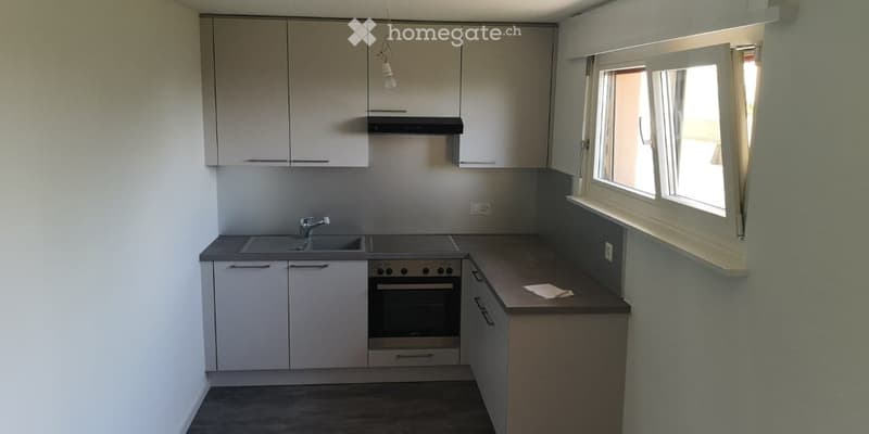 Magnifique appartement de 2,5 pièces - jolie vue sur le lac (2)