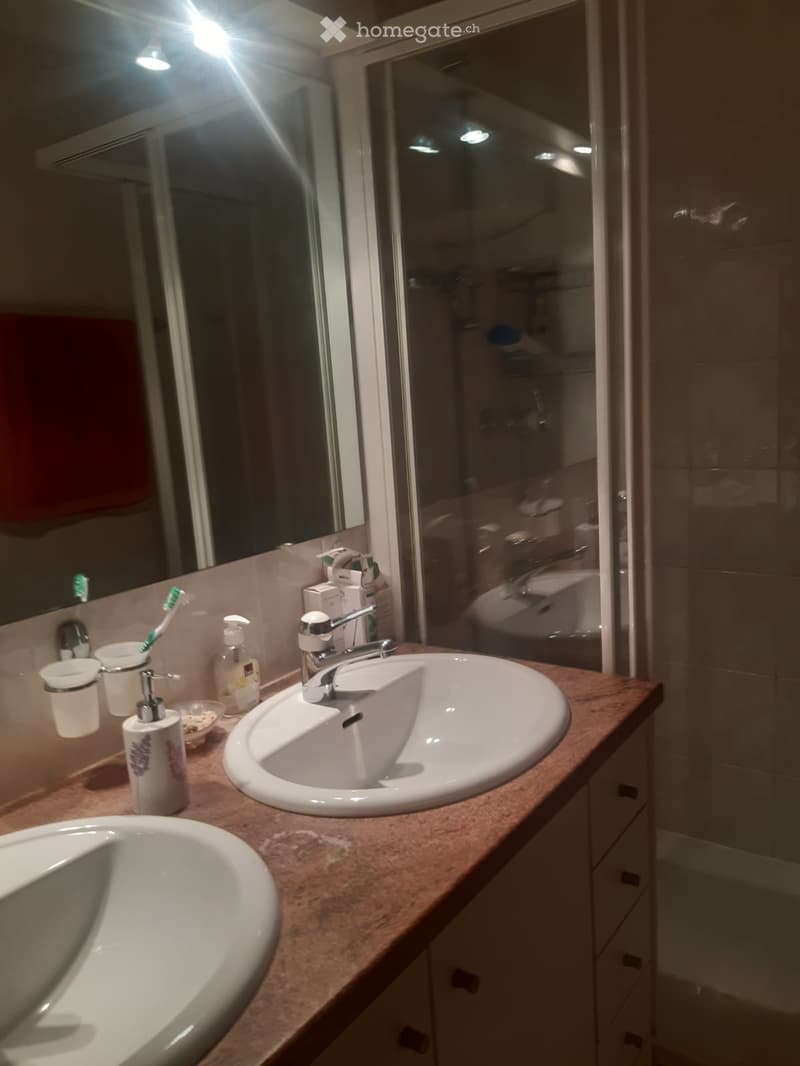 Chambre à louer dans maison à Onex/Genève (4)