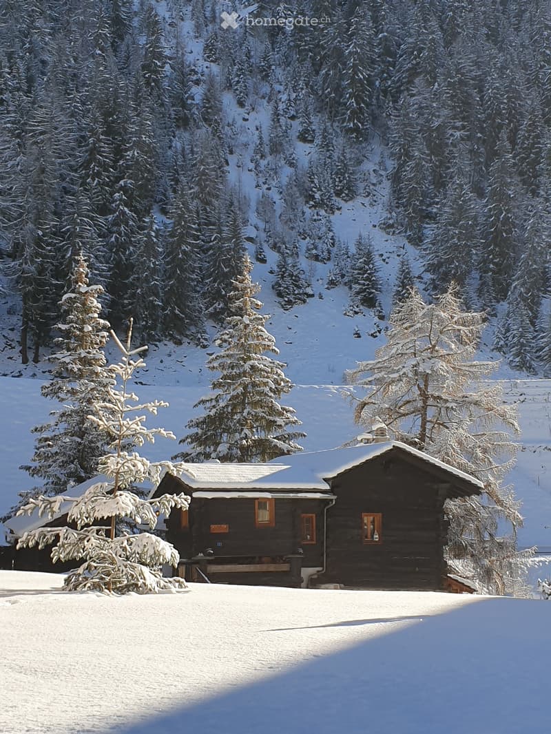 Appartement/Chalet - à coté de Zinal - Le Mottec (1)