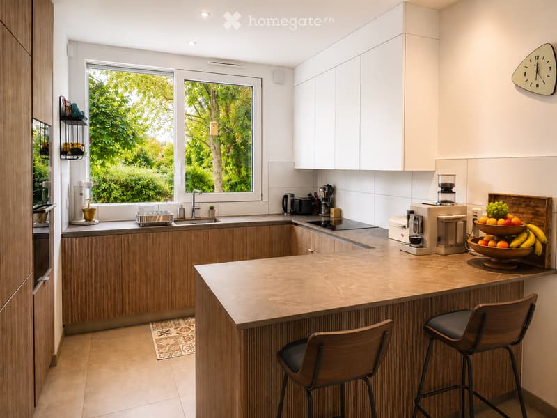 Maison familiale récente avec grand jardin  Thônex (Genève) (2)