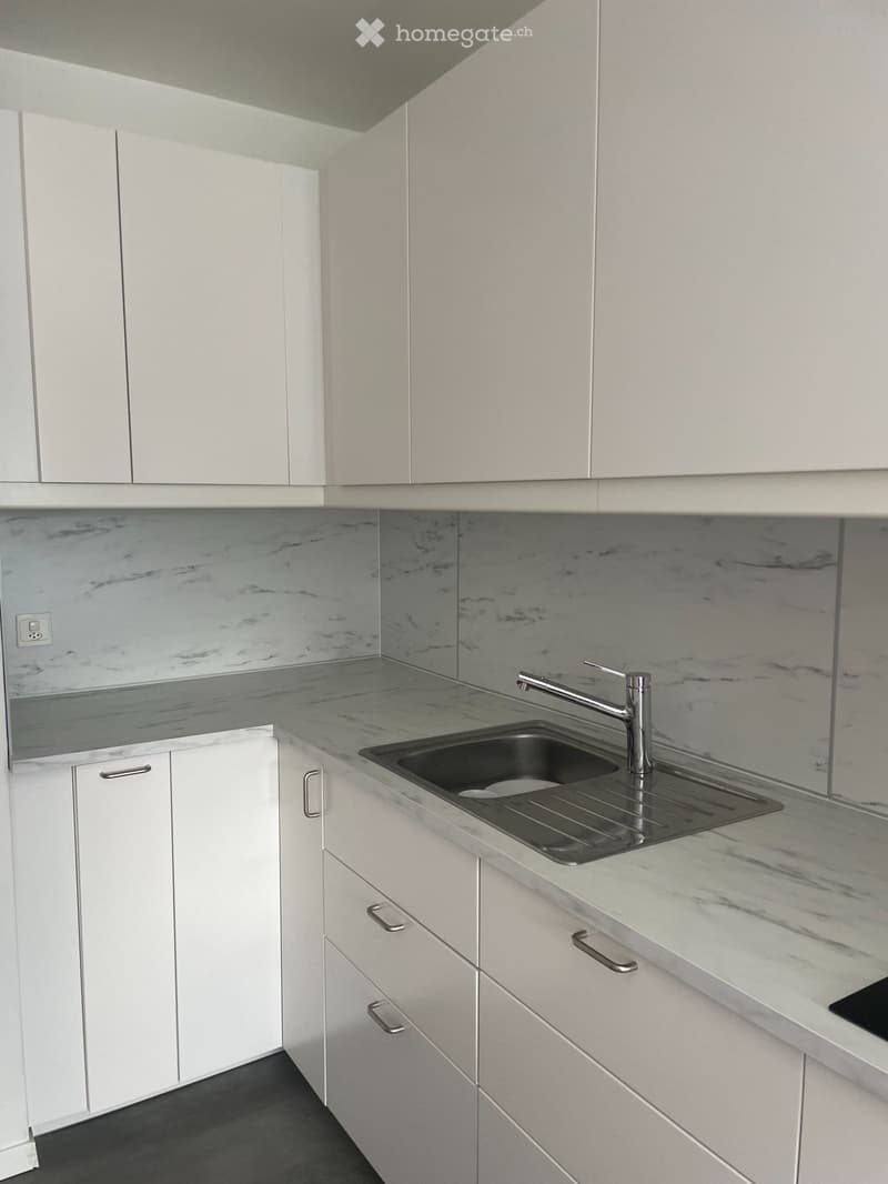Appartement de standing 5 pièces | Petit-Saconnex (7)