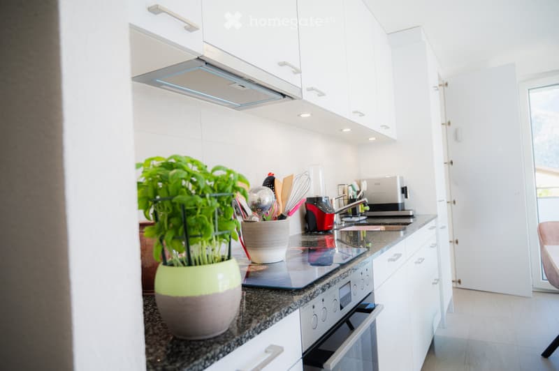 Appartement lumineux de 2.5 pc avec vue sur le château (4)