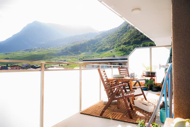 Appartement lumineux de 2.5 pc avec vue sur le château (2)