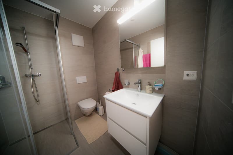 Appartement lumineux de 2.5 pc avec vue sur le château (3)