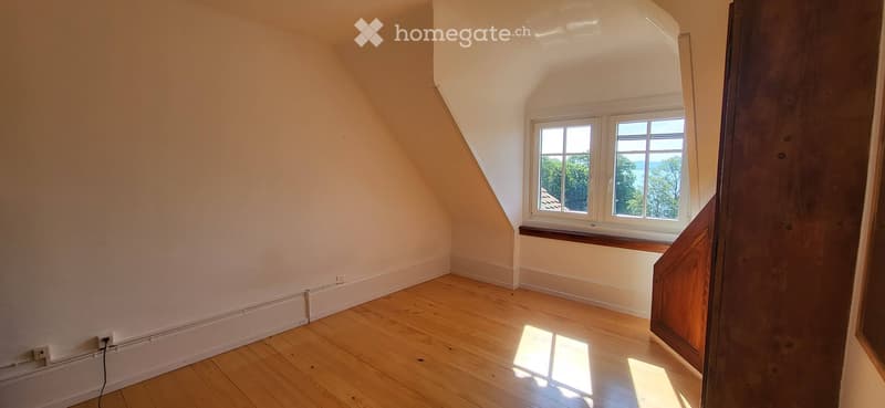 Magnifique appartement sous les toits (2)