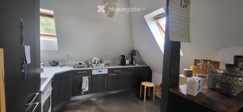 Magnifique appartement sous les toits (4)