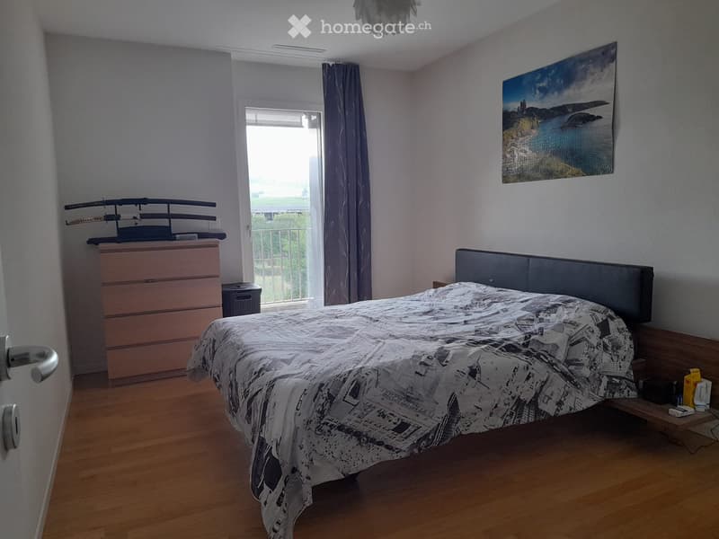 Location d'un magnifique appartement 3.5 pièces (3)