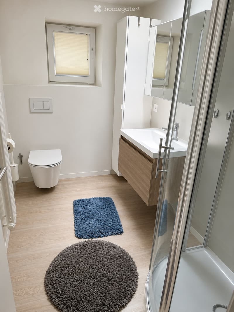 Appartement de 3.5 pièces, disponibilité à convenir (3)