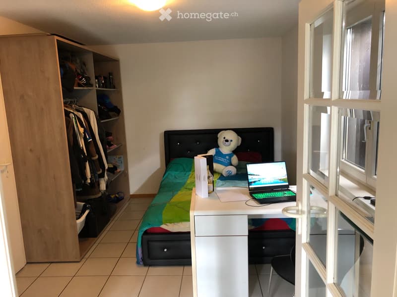 Superbe appartement spacieux et lumineux 4.5 pieces (5)