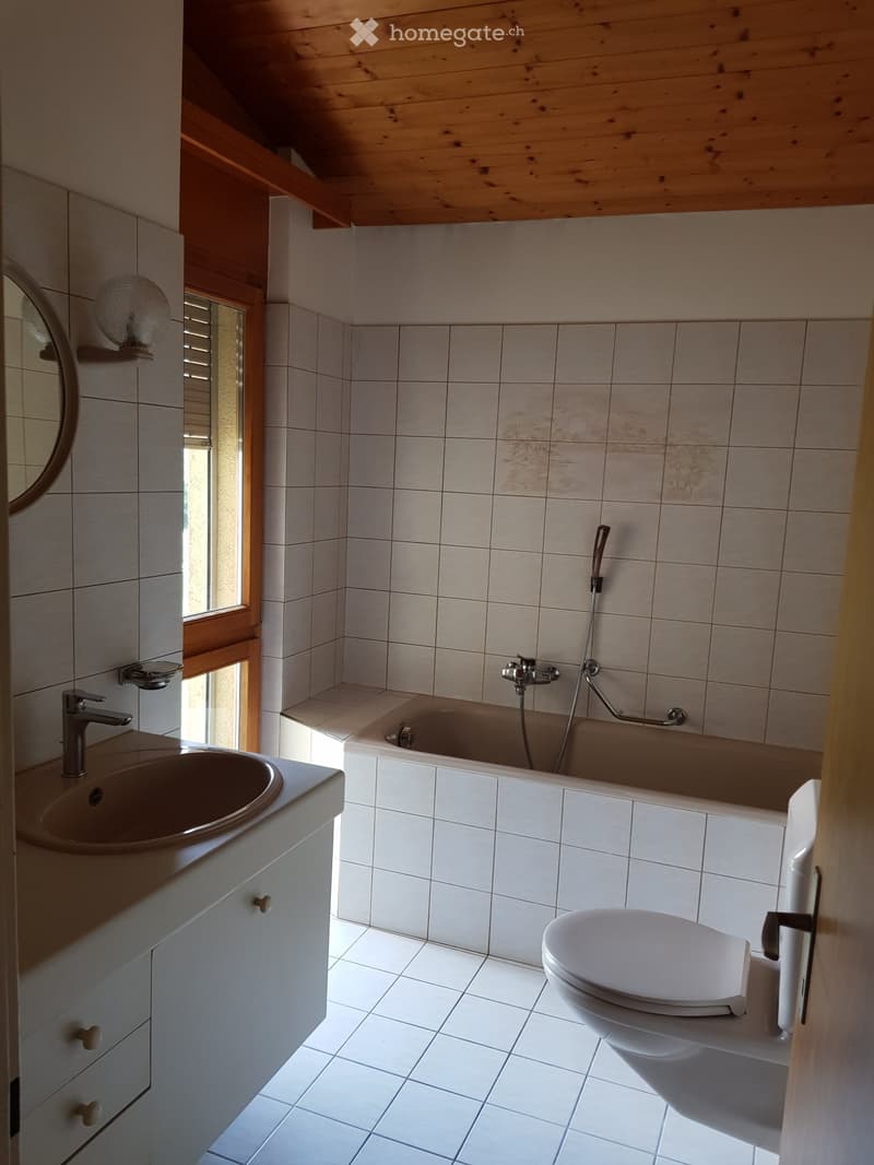 Appartement spacieux près promenade du Rhône (4)