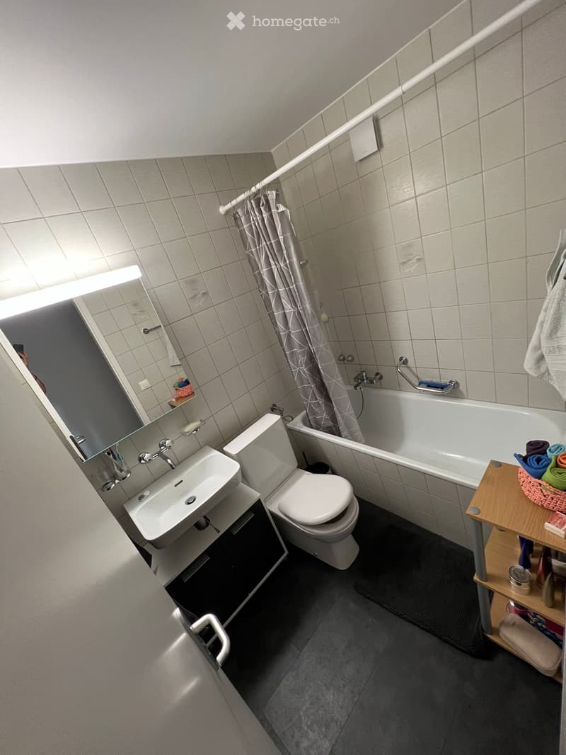 Zollikofen - Mitbewohnerin gesucht für 3.5 Zimmerwohnung (5)