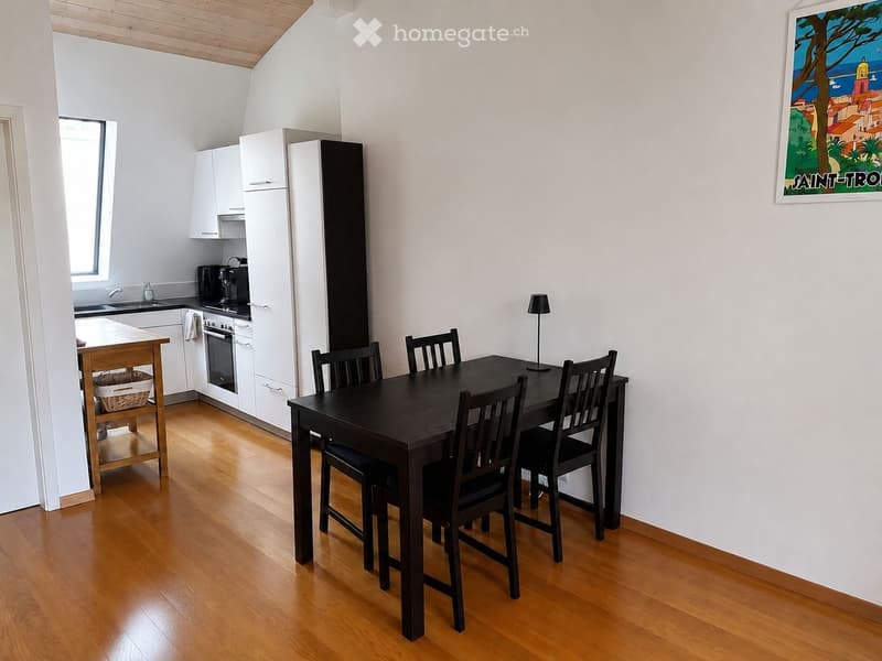 Appartement 3 pièces 55 m² centre de Genève (3)