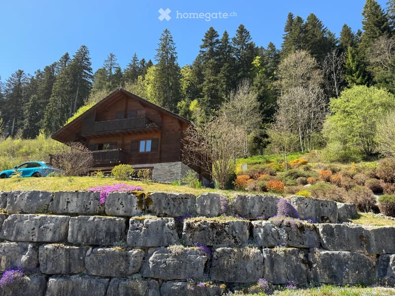 Magnifique chalet individuel de 160 m²  Vue panoramique (2)