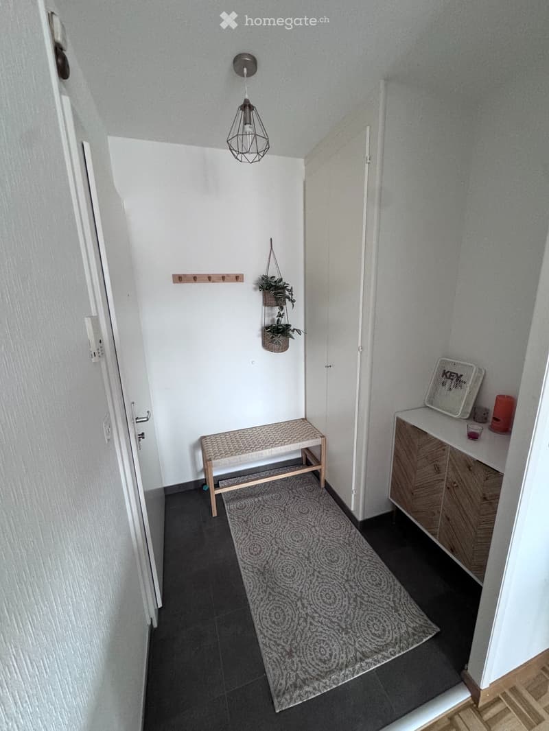 À remettre  Charmant appartement 2 pièces à Ecublens (VD) (2)