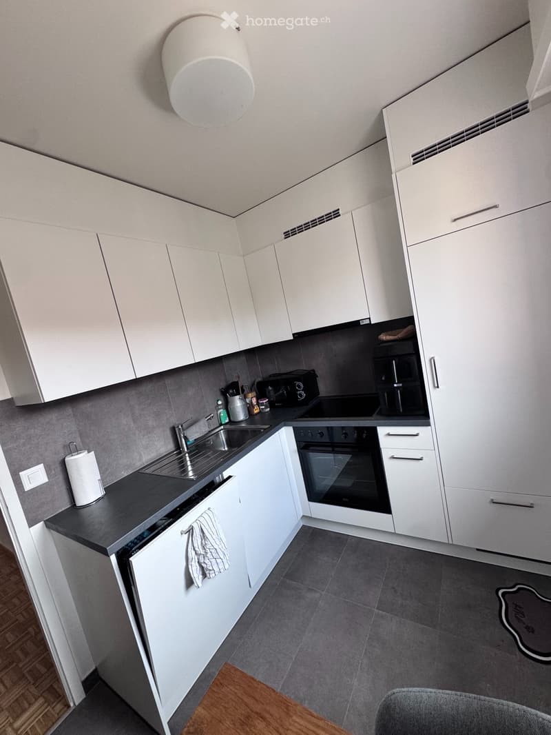 À remettre  Charmant appartement 2 pièces à Ecublens (VD) (3)