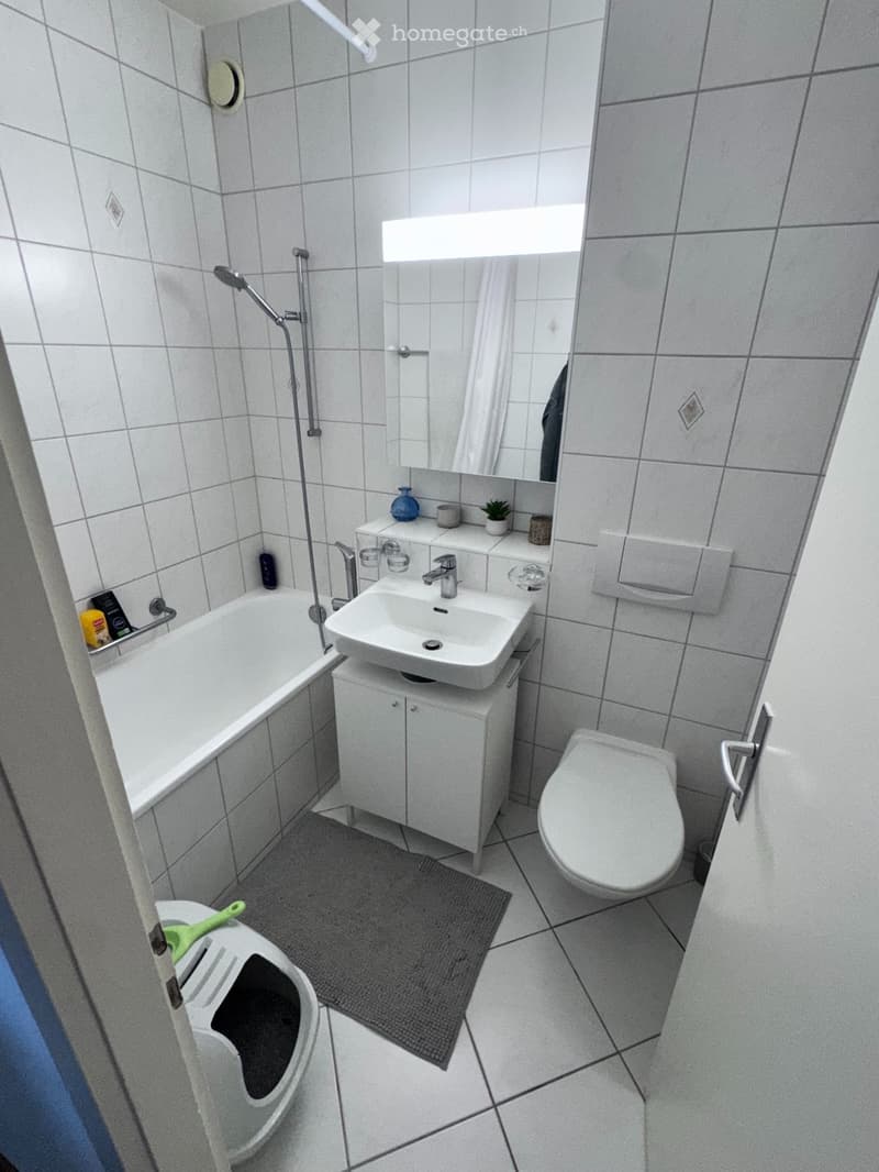 À remettre  Charmant appartement 2 pièces à Ecublens (VD) (4)
