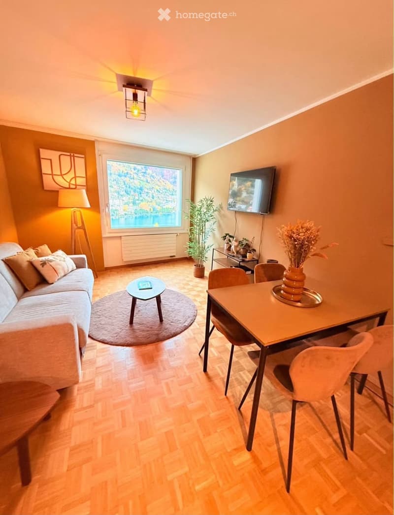 Jolie 2 pièces appartement MEUBLÉ MONTREUX (4)