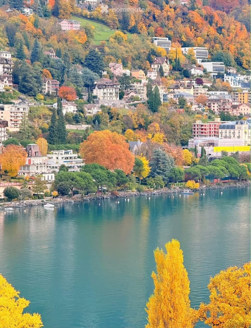 Jolie 2 pièces appartement MEUBLÉ MONTREUX (5)