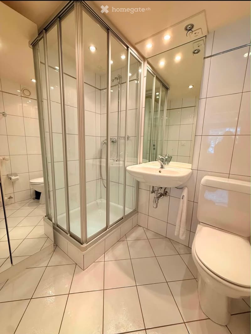 Jolie 2 pièces appartement MEUBLÉ MONTREUX (3)