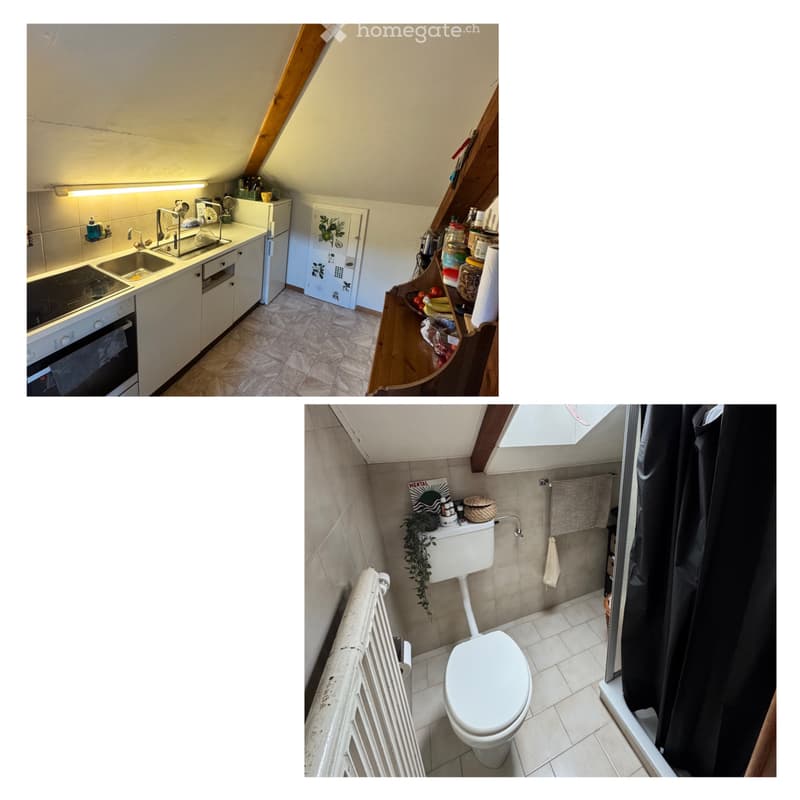 Charmant petit appartement sous les toits de Corcelles (5)
