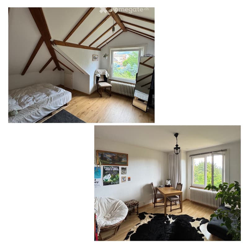 Charmant petit appartement sous les toits de Corcelles (1)