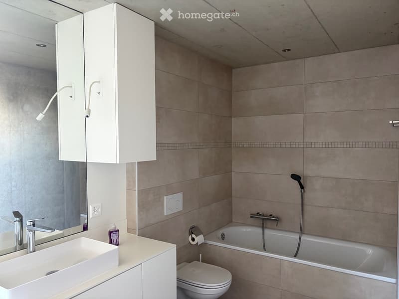 Superbe appartement 3.5 pces (5)