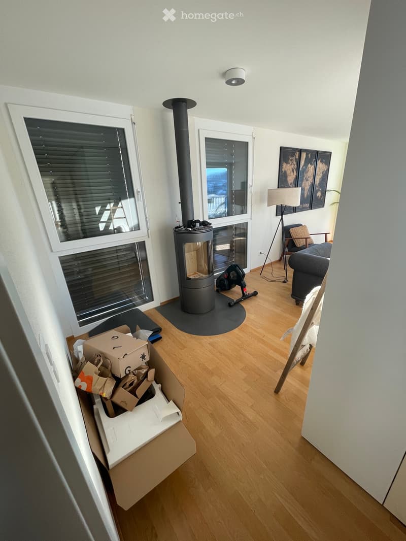 Appartement tout confort de 3.5 pièces en attique (2)