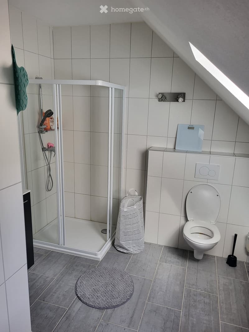 Appartement de standing / Duplex (2)