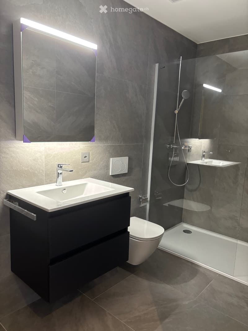 Magnifique appartement 2,5 pièces neuf (4)