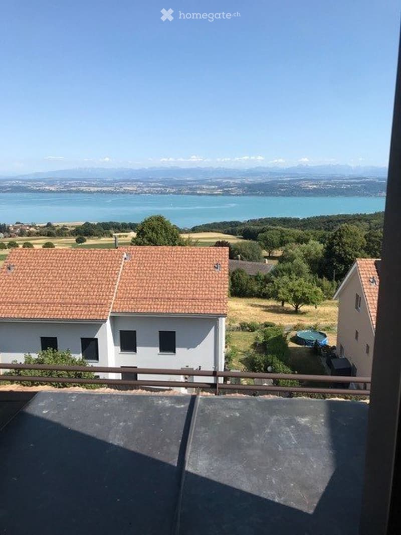 Magnifique attique avec vue imprenable (1)